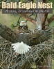 Bald Eagle Nest - A Story of Survival in Photos (Paperback) - Kate Davis Photo