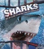 Sharks (Hardcover) - Ben Hubbard Photo