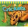 Crickets (Paperback) - John Willis Photo