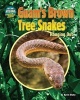 Guam's Brown Tree Snakes - Hanging Out (Hardcover) - Kevin Blake Photo