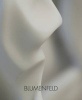 Blumenfeld (Hardcover) - Bowman Sculpture Photo