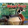 Wood Duck (Hardcover) - Ellen Lawrence Photo