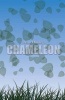 Chameleon (Paperback) - Sean Dooley Photo