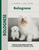 Bolognese (Hardcover) - Wolfgang Knorr Photo