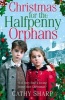 The Christmas for the Halfpenny Orphans (Halfpenny Orphans, Book 3) (Paperback) - Cathy Sharp Photo