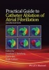 Practical Guide to Catheter Ablation of Atrial Fibrillation (Hardcover, 2nd Revised edition) - Jonathan S Steinberg Photo