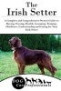 The Irish Setter - A Complete and Comprehensive Owners Guide To: Buying, Owning, Health, Grooming, Training, Obedience, Understanding and Caring for Your Irish Setter (Paperback) - Dog Care Professionals Photo