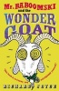 Mr. Baboomski and the Wonder Goat (Paperback) - Richard Joyce Photo