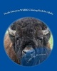 North American Wildlife Coloring Book for Adults - Let's Get Wild (Paperback) - Loretta Emmons Photo