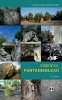 Essential Fontainebleau - A Stone Country Bouldering Guide (Paperback, 2nd Revised edition) - John Watson Photo