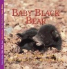 Adventures of Baby Bear (Hardcover) - Aubrey Lang Photo