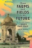 From Farms and Fields to the Future - The Incredible History of North Miami Beach (Paperback) - Seth H Bramson Photo