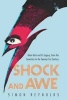 Shock and Awe - Glam Rock and Its Legacy, from the Seventies to the Twenty-First Century (Paperback) - Simon Reynolds Photo