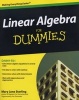 Linear Algebra For Dummies (Paperback) - Mary Jane Sterling Photo