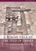 A Roman Villa at the Edge of Empire - Excavations at Ingleby Barwick, Stockton-on-Tees, 2003-04. Archaeological Services Durham University (Paperback, New) - Steven Willis Photo