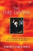 The Fire Divine - An Introduction to the Evangelical Revival (Paperback, First) - David Ceri Jones Photo