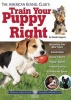 The American Kennel Club's Train Your Puppy Right (Paperback) - Amy Deputato Photo