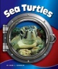 Sea Turtles (Hardcover) - Kara L Laughlin Photo