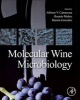 Molecular Wine Microbiology (Hardcover) - Alfonso V Carrascosa Santiago Photo