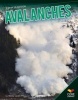 Avalanches (Paperback) - Wendy Lanier Photo