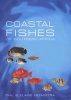 Coastal Fishes of Southern Africa (Paperback) - Phil Heemstra Photo