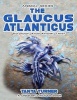 The Glaucus Atlanticus Do Your Kids Know This? - A Children's Picture Book (Paperback) - Tanya Turner Photo