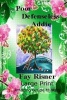 Poor Defenseless Addie - Amazing Gracie Mystery Series (Large print, Paperback, large type edition) - Fay Risner Photo