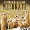 Social Lives of Meerkats (Hardcover) - Rachel Wilson Photo