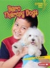 Hero Therapy Dogs (Paperback) - Jon M Fishman Photo