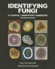 Identifying Fungi: A Clinical Laboratory Handbook (Hardcover, 2nd) - Guy St Germain Photo