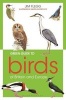 Green Guide to Birds of Britain and Europe (Paperback) - Jim Flegg Photo