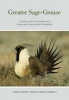 Greater Sage-Grouse - Ecology and Conservation of a Landscape Species and Its Habitats (Hardcover, Ty) - Steven T Knick Photo