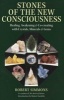 Stones of the New Consciousness - Healing, Awakening and Co-Creating with Crystals, Minerals and Gems (Paperback) - Robert Simmons Photo