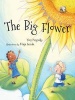 The Big Flower (Paperback) - Yves Pinguilly Photo