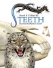 Teeth (Paperback) - Sneed B Collard III Photo