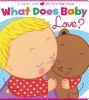 What Does Baby Love? (Board book) - Karen Katz Photo