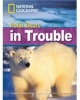 Polar Bears in Trouble (Paperback) - Rob Waring Photo