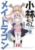 Miss Kobayashi's Dragon Maid, Vol. 2 (Paperback) - Coolkyoushinja Photo