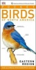 American Museum of Natural History: Pocket Birds of North America, Eastern Region (Paperback) - Dk Photo