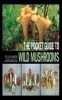 The Pocket Guide to Wild Mushrooms - Helpful Tips for Mushrooming in the Field (Paperback) - Pelle Holmberg Photo