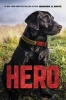 Hero (Hardcover) - Jennifer Li Shotz Photo