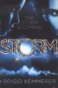 Storm (Paperback) - Brigid Kemmerer Photo