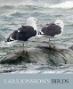 's Birds - Paintings from a Near Horizon (Hardcover) - Lars Jonsson Photo