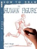 How to Draw the Human Figure (Paperback) - Mark Bergin Photo