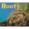 Roots (Hardcover) -  Photo