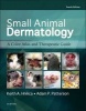 Small Animal Dermatology - A Color Atlas and Therapeutic Guide (Hardcover, 4th Revised edition) - Keith A Hnilica Photo