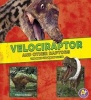 Velociraptor and Other Raptors - The Need-To-Know Facts (Hardcover) - Jon Hughes Photo