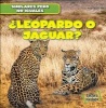 Leopardo O Jaguar? (Leopard or Jaguar?) (English, Spanish, Paperback) - Rob Ryndak Photo