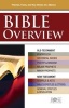 Bible Overview Pamphlet - Know Themes, Facts, and Key Verses at a Glance (Paperback) - Rose Publishing Photo