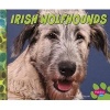 Irish Wolfhounds (Hardcover) - Allan Morey Photo